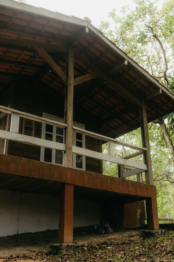 Cozy wooden cabin nestled amidst lush greenery, perfect for a serene getaway.